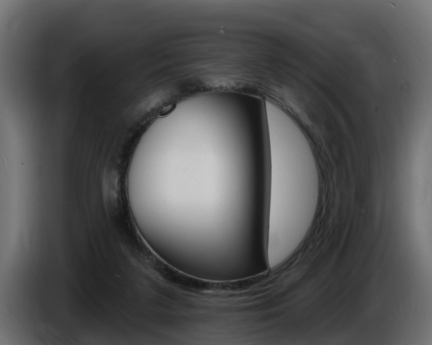 X0000086730211200704130752