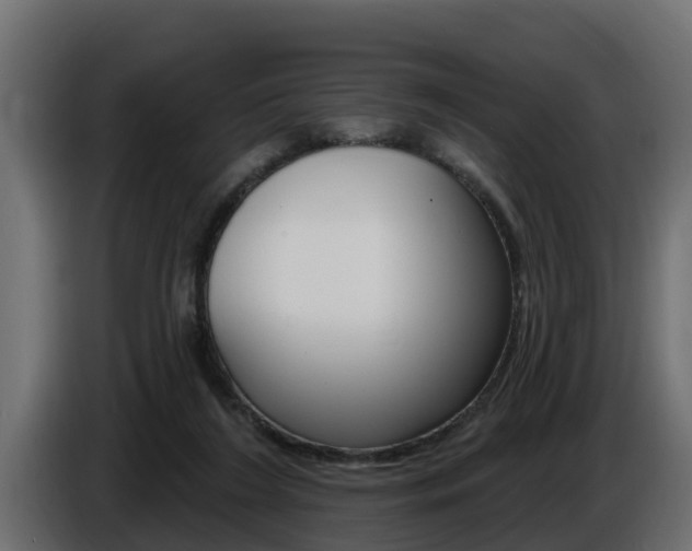 X0000086730212200704130752