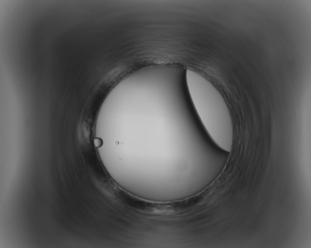 X0000086730214200704130752
