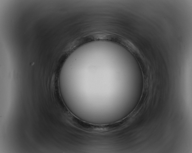 X0000086730217200704130752