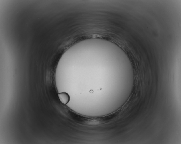 X0000086730218200704130752
