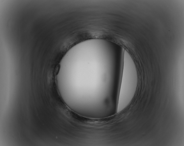 X0000086730221200704130752