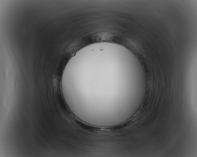 X0000086730222200704130752