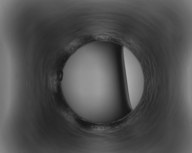 X0000086730223200704130752