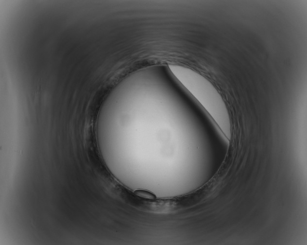 X0000086730225200704130752