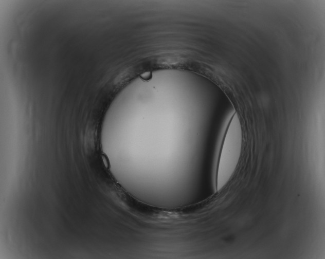 X0000086730227200704130752