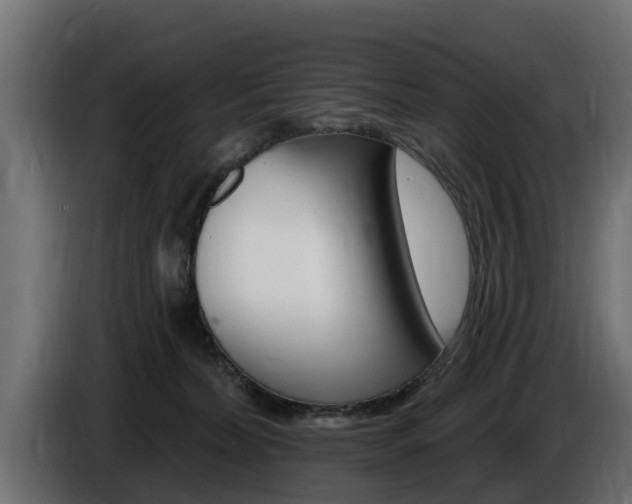 X0000086730228200704130752
