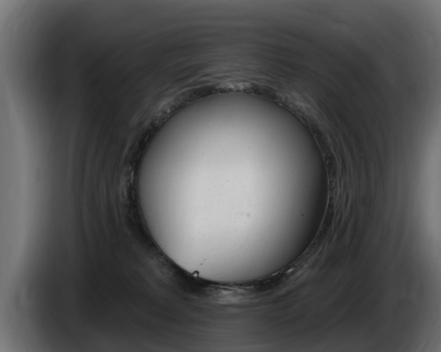 X0000086730229200704130752