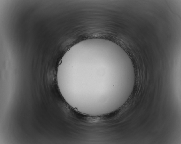 X0000086730230200704130752