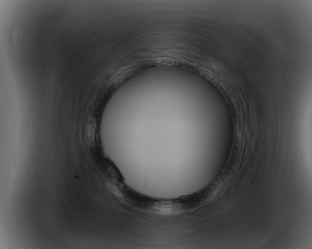 X0000086730231200704130752