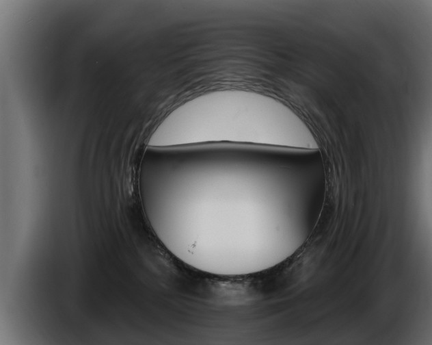 X0000086730232200704130752