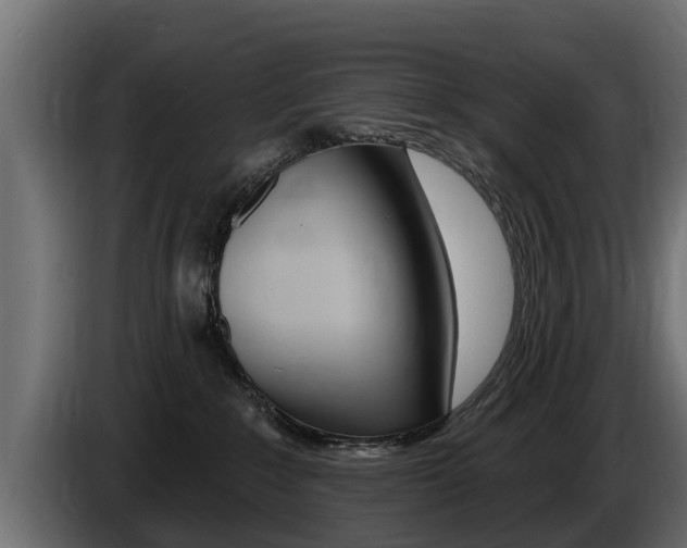 X0000086730235200704130752