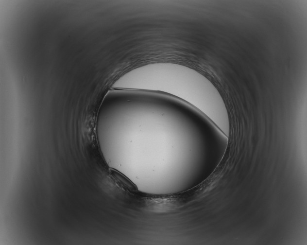 X0000086730237200704130752