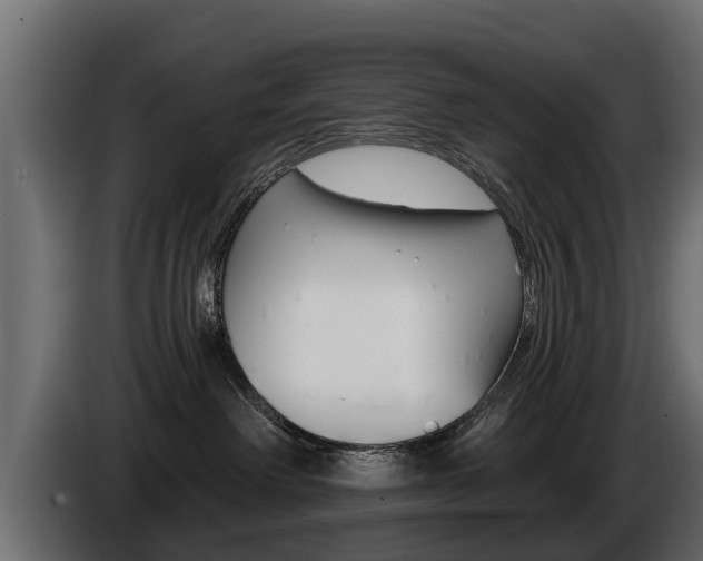 X0000086730238200704130752