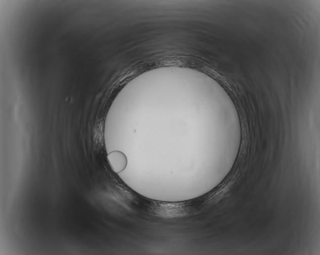 X0000086730240200704130752