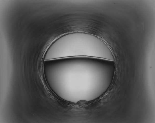 X0000086730241200704130751
