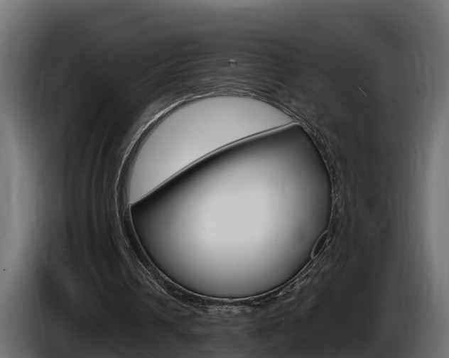 X0000086730242200704130751