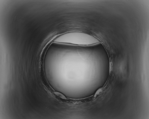 X0000086730243200704130751