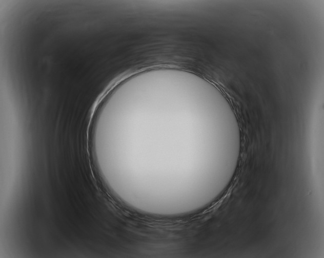 X0000086730244200704130751