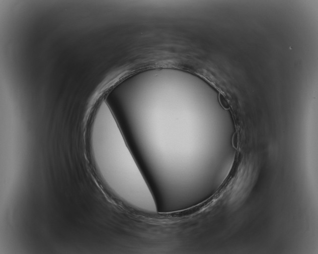 X0000086730245200704130751