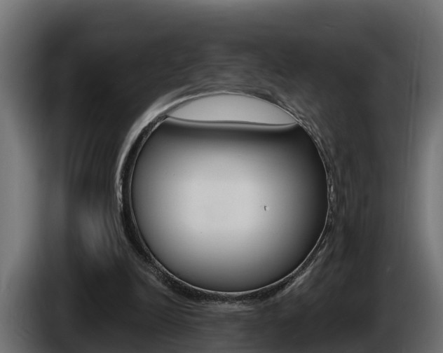X0000086730246200704130751