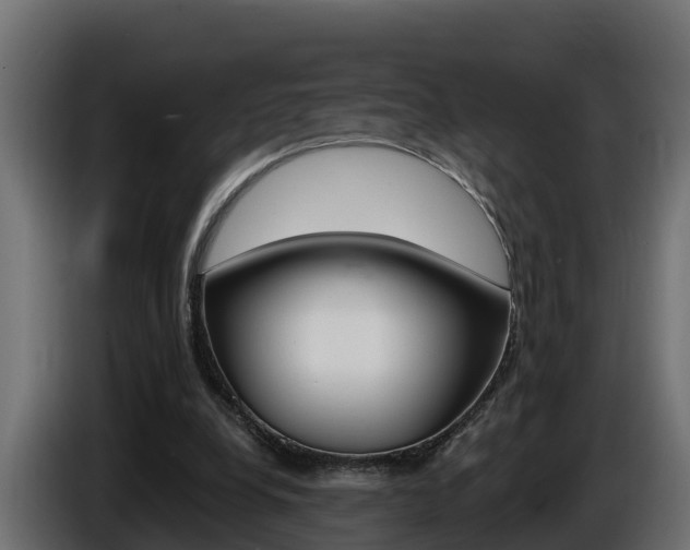 X0000086730248200704130751