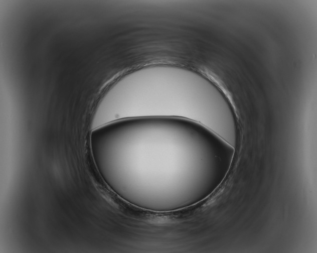 X0000086730249200704130751