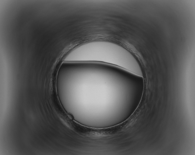 X0000086730250200704130751