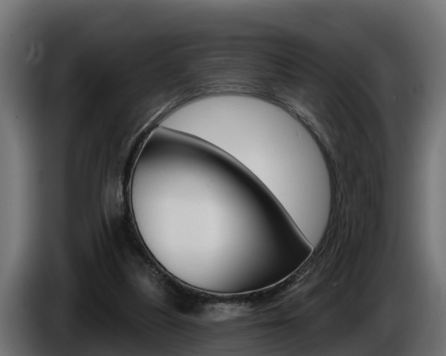 X0000086730251200704130751