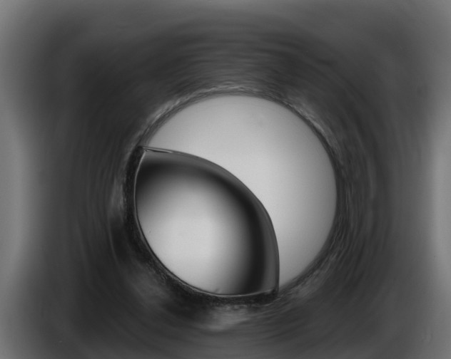 X0000086730252200704130751