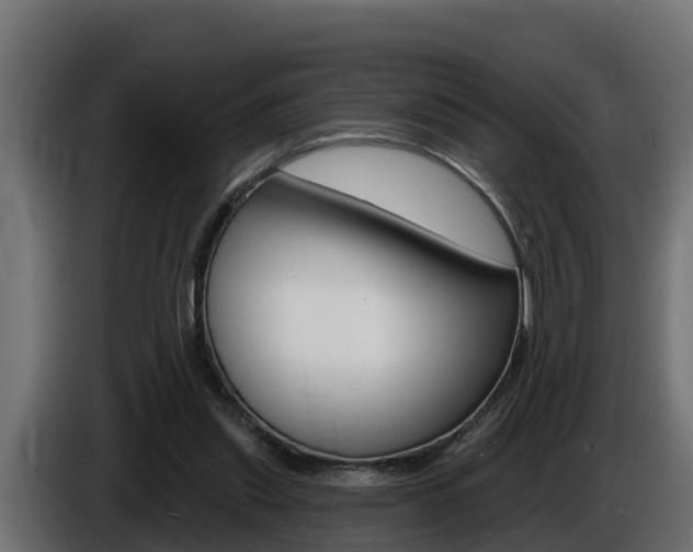 X0000086730253200704130751