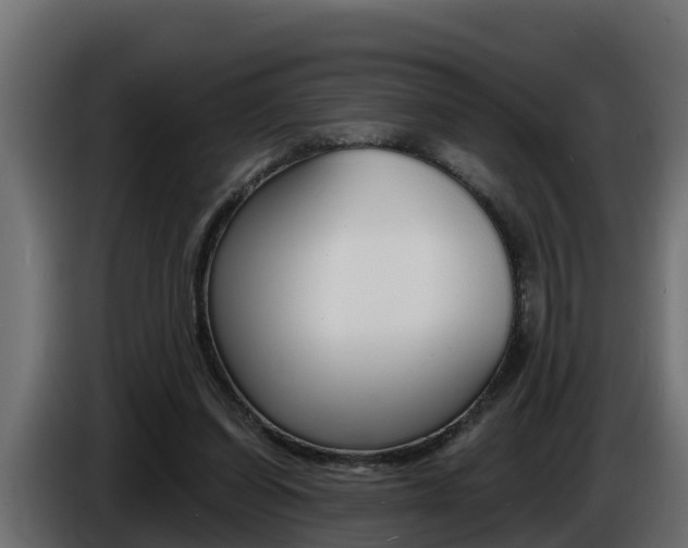 X0000086730254200704130751