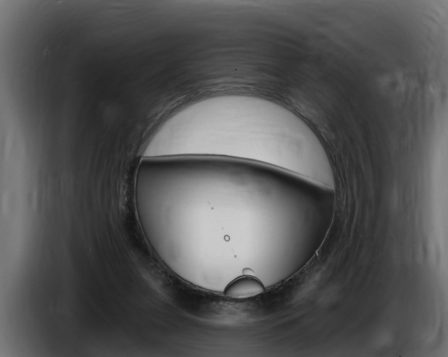 X0000086730255200704130751