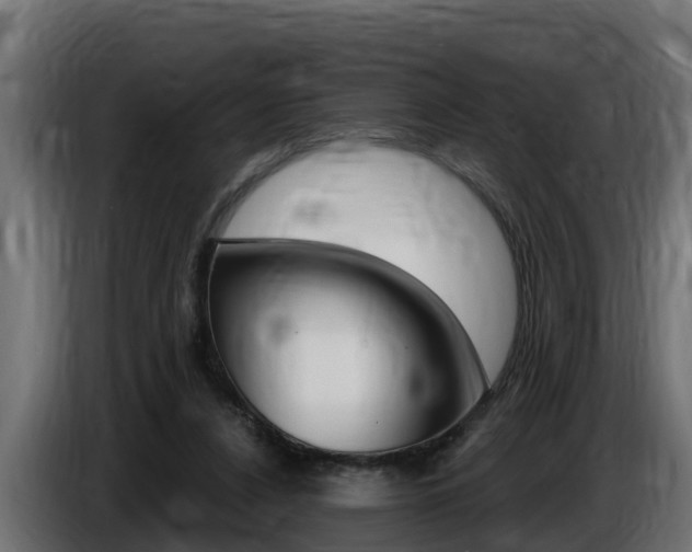 X0000086730256200704130751
