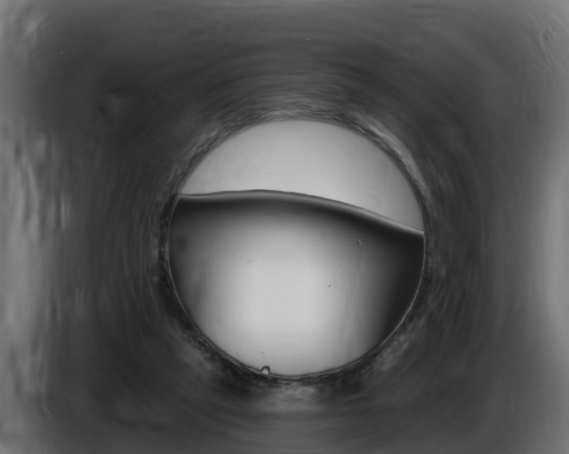 X0000086730257200704130752