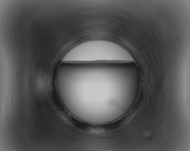 X0000086730258200704130752