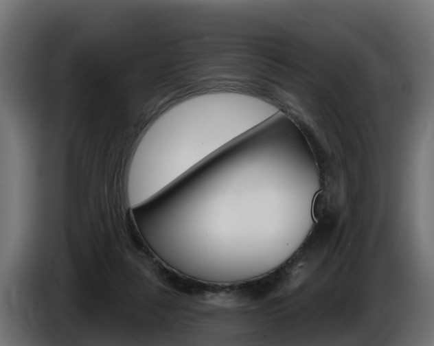 X0000086730259200704130752