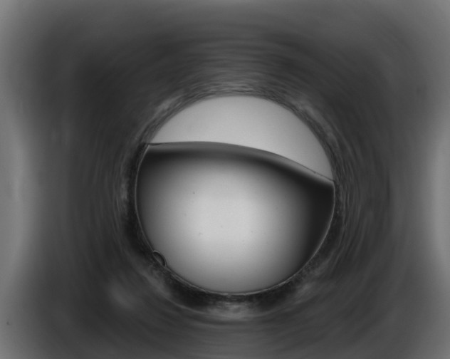 X0000086730260200704130752