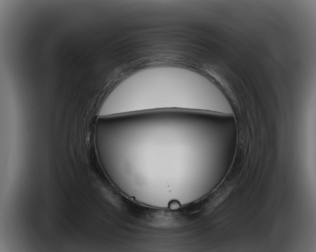X0000086730261200704130752