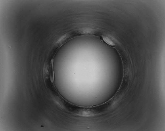 X0000086730264200704130752