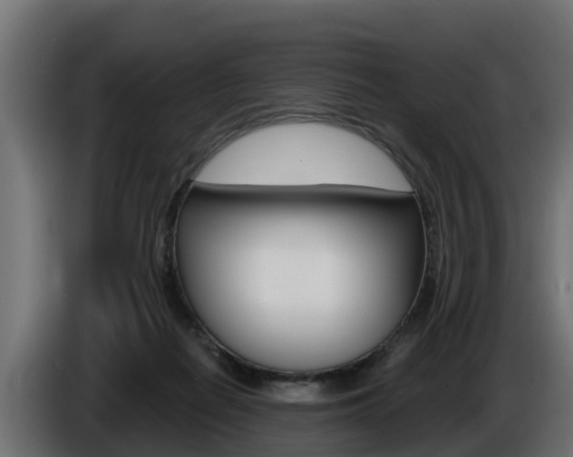X0000086730266200704130752