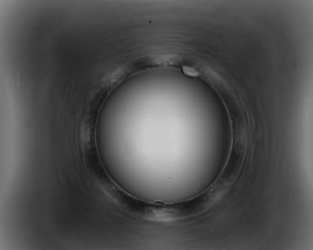 X0000086730268200704130752