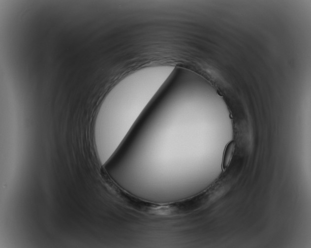 X0000086730269200704130752