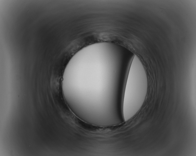 X0000086730271200704130752