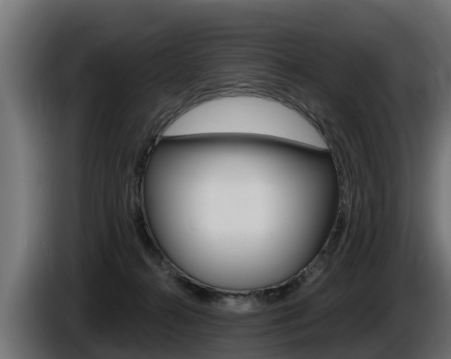X0000086730272200704130752