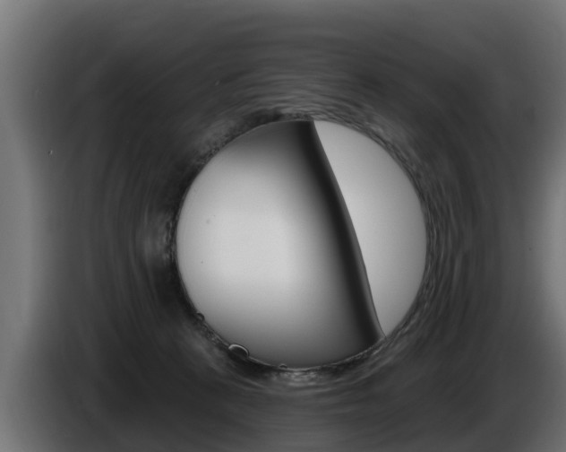 X0000086730273200704130752