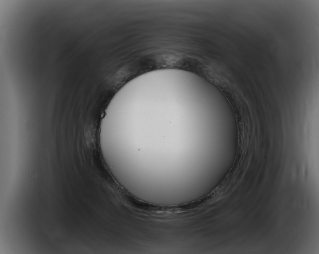 X0000086730274200704130752