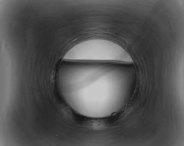 X0000086730275200704130752