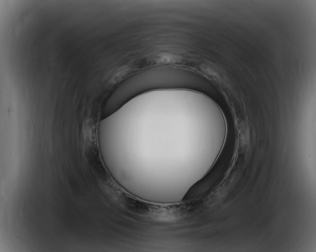 X0000086730276200704130752