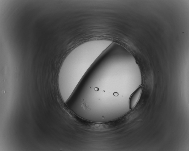 X0000086730277200704130752